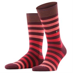 Burlington Blackpool Striped Socks